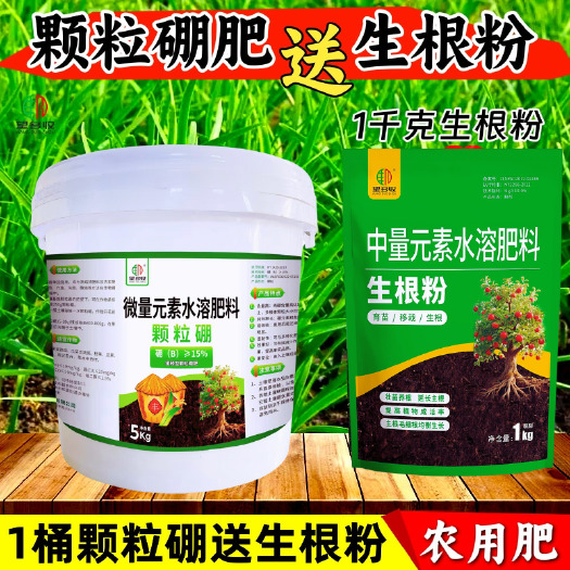 潍坊颗粒硼肥基肥底肥促花促果提高坐果率促进花芽分化硼肥