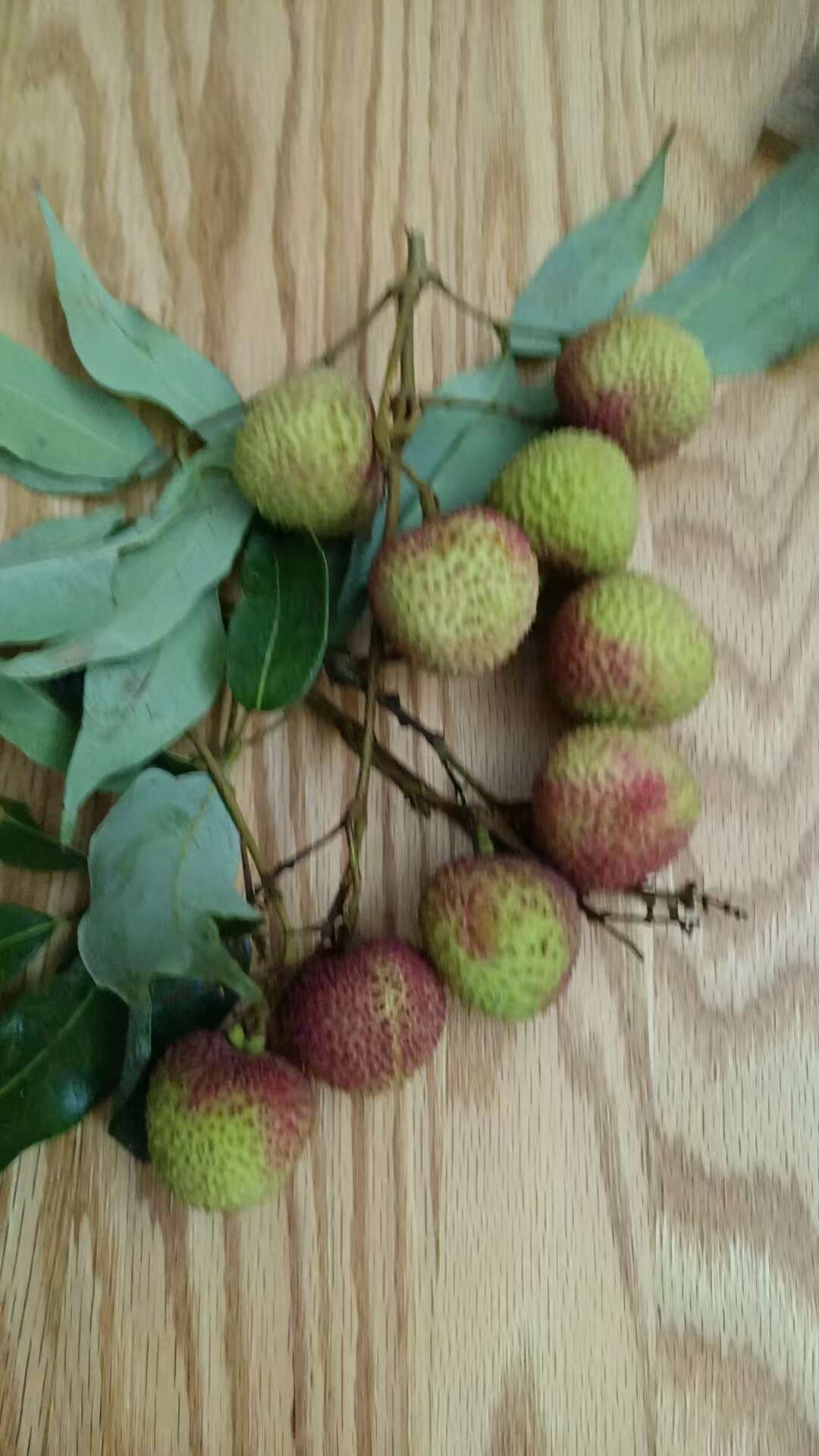 荔枝广东荔枝妃子笑荔枝