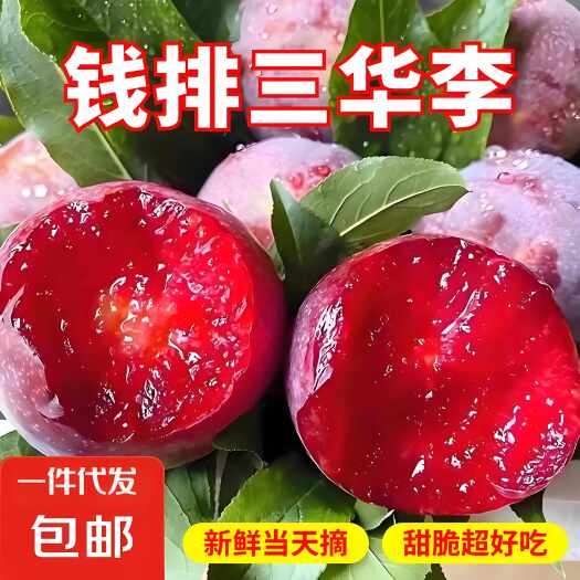 信宜市正宗三华李新鲜水果红心李子当季酸甜脆李孕妇水果福建三华李