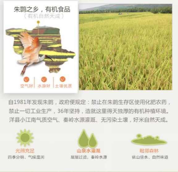 朱鹮湖有机红米500g米饼
