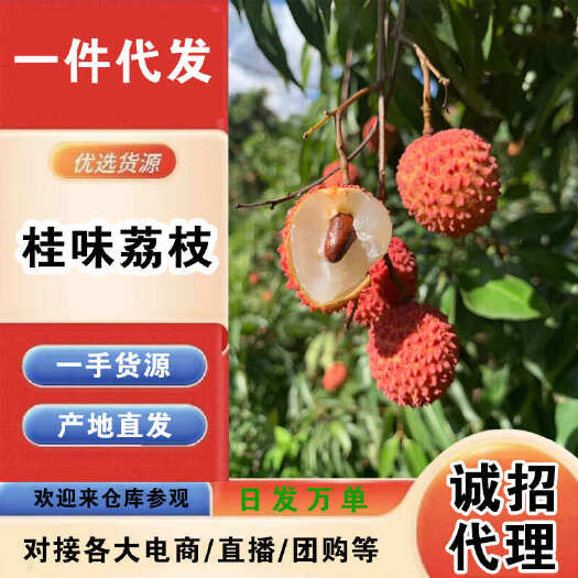 信宜市广东桂味荔枝一件代发产地直发一手货源对接各大电商平台