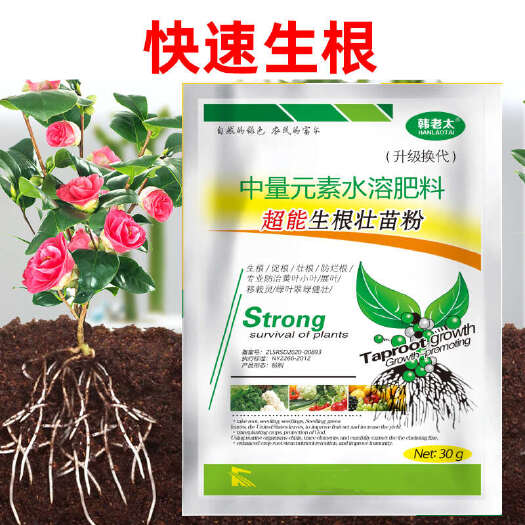 郑州生根粉扦插移栽大树生根液生根壮苗剂蔬菜快速生根果树花卉生根粉