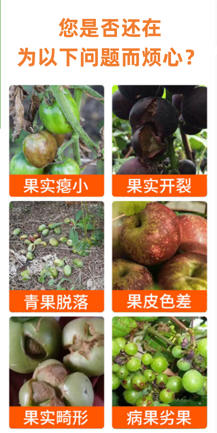 果实膨大素优果防裂果提糖增甜增产瓜果蔬菜通用膨果素膨果专用药