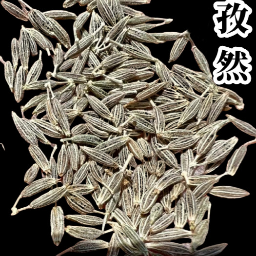 孜然颗粒25年新货新疆吐鲁番特产无掺杂大颗粒散装孜然粉包邮批