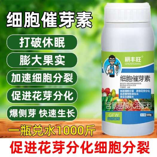 郑州细胞催芽素叶面肥多肉爆芽素促花芽分化增产增收催芽剂细胞分裂素