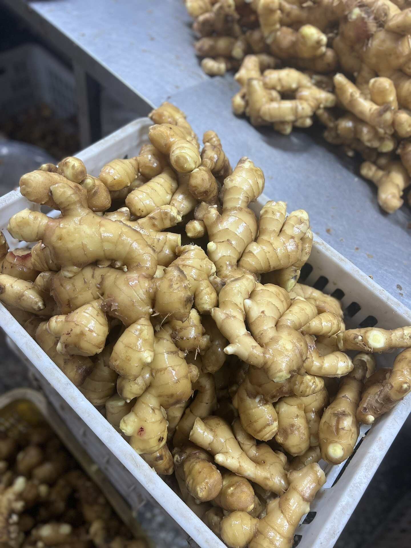 山东特级大肉姜 - 个大饱满 辛辣适中 厨房