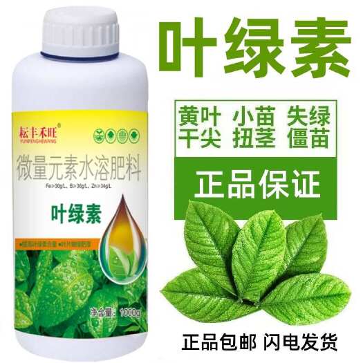 郑州黄叶一喷绿叶面肥叶绿素水溶肥提苗壮棵增绿果树蔬菜花卉用一喷绿