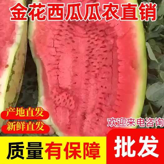 西安陕西西安金花1号西瓜金沙女神西瓜批发硒砂瓜石缝瓜批发西瓜批发