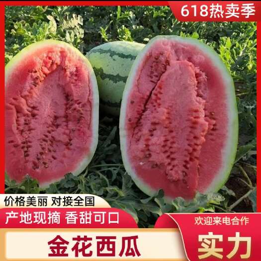 西安硒砂瓜金花西瓜1号金沙女神瓜批发西瓜批发石缝瓜批发西瓜