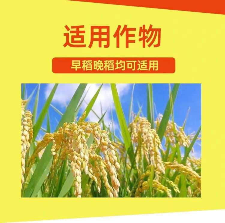水稻病专用水稻杀菌剂稻瘟病稻曲病纹枯病恶苗白叶枯水稻病害专用