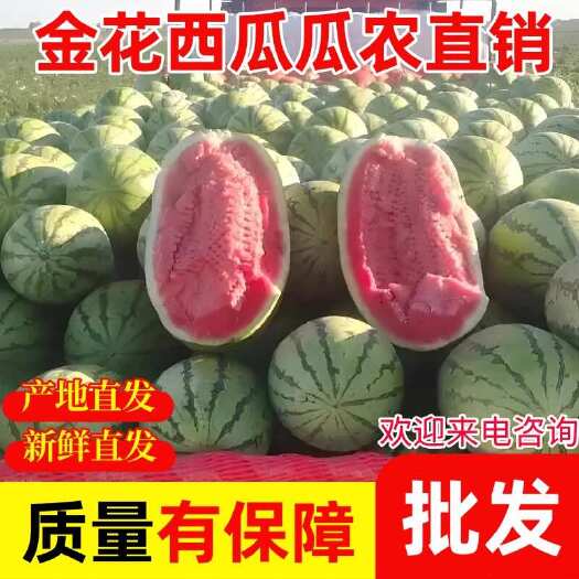 西瓜金花系列西瓜批发大量上市质量优欢迎洽谈硒砂瓜瓜农直销
