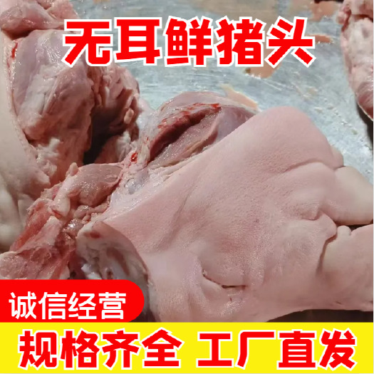 郑州精品无耳鲜猪头 常年生产 货源充足 供应稳定