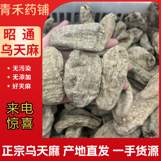 昆明昭通小草坝14-15头乌天麻 全干货 无硫 黑天麻干货天然