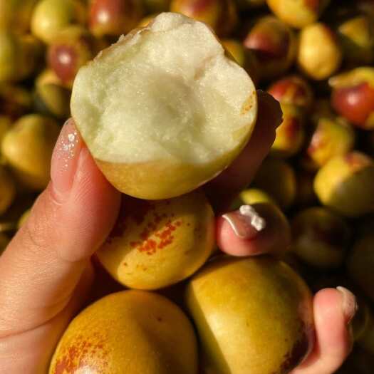 大荔县陕西大荔冬枣新鲜水果当季枣子脆枣鲜枣脆甜一件代发
