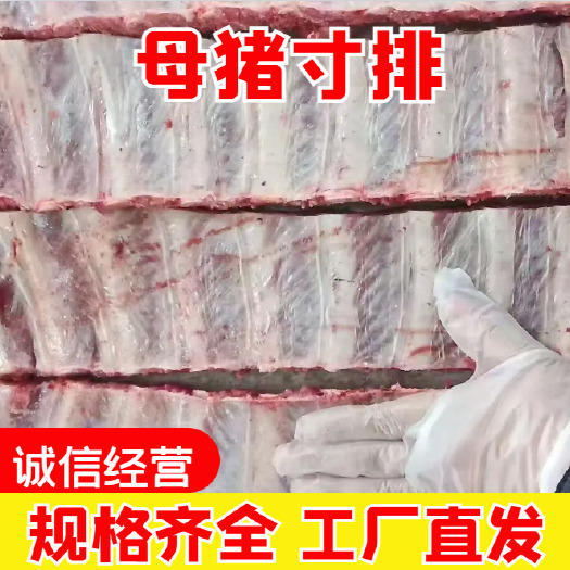 郑州猪寸排 猪排骨 多肉寸排 质量看得见 欢迎咨询