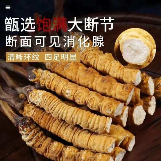 【精选大断草】冬虫夏草根根饱满纹路清自用超值药厂直供一手货源