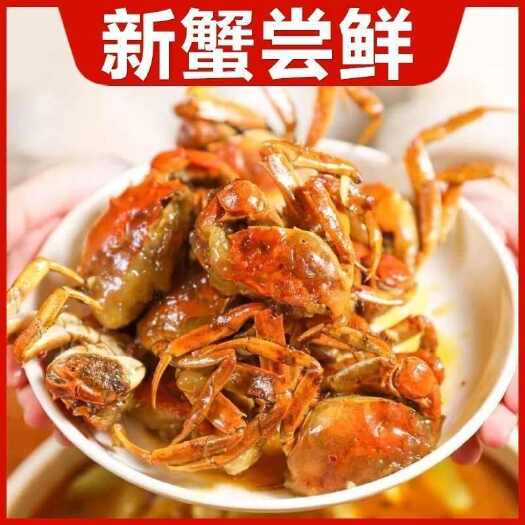 兴化市包邮兴化六月黄大闸蟹吃鱼苗长大的壳薄肉嫩批发商超餐饮水产市场