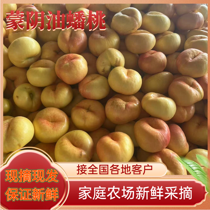 山东蒙阴油桃，蟠桃产地直销，露天采摘甘甜爽脆，支持电商一件代
