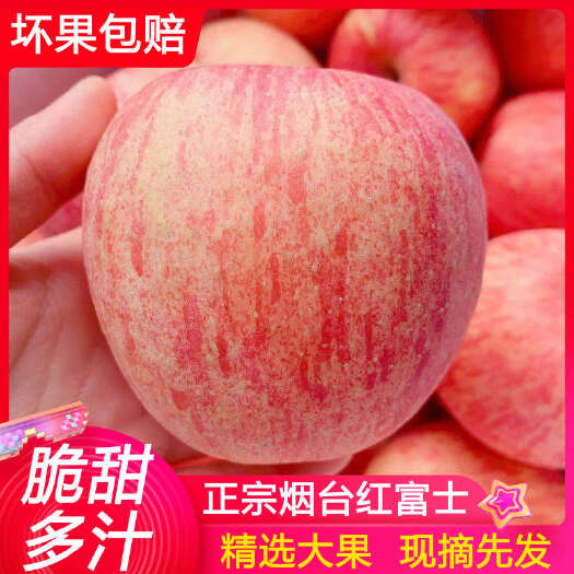 栖霞市红富士苹果  烟台红富士甄选礼盒装，口感脆甜多汁新鲜水果批发