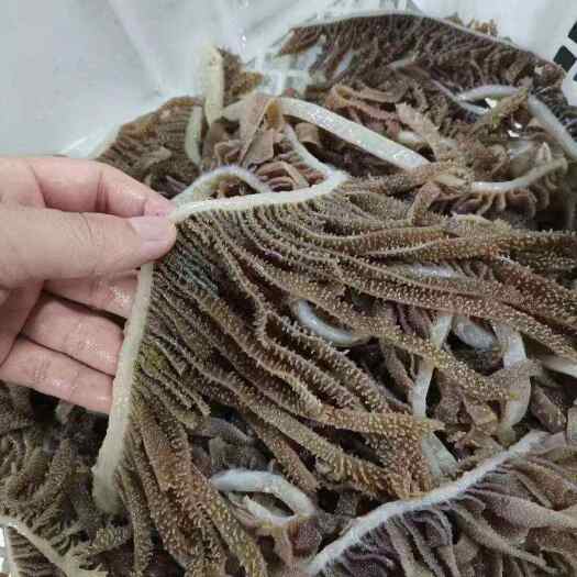 阳信县牛百叶，也叫黑千层，毛肚丝，毛肚叶片