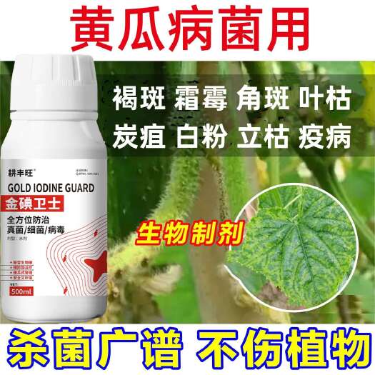 郑州黄瓜一喷净黄瓜病专用霜霉褐斑叶枯炭疽疫病靶斑病黄瓜病害用药