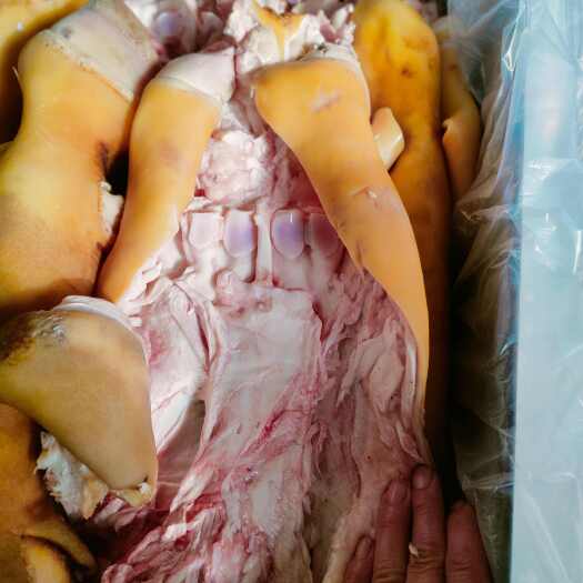 牛蹄，生牛蹄，火烧毛全去骨，纯干货，