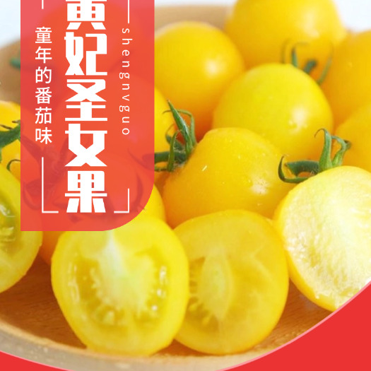 仙桃市特级黄樱桃番茄黄色圣女果黄金珍珠小番茄