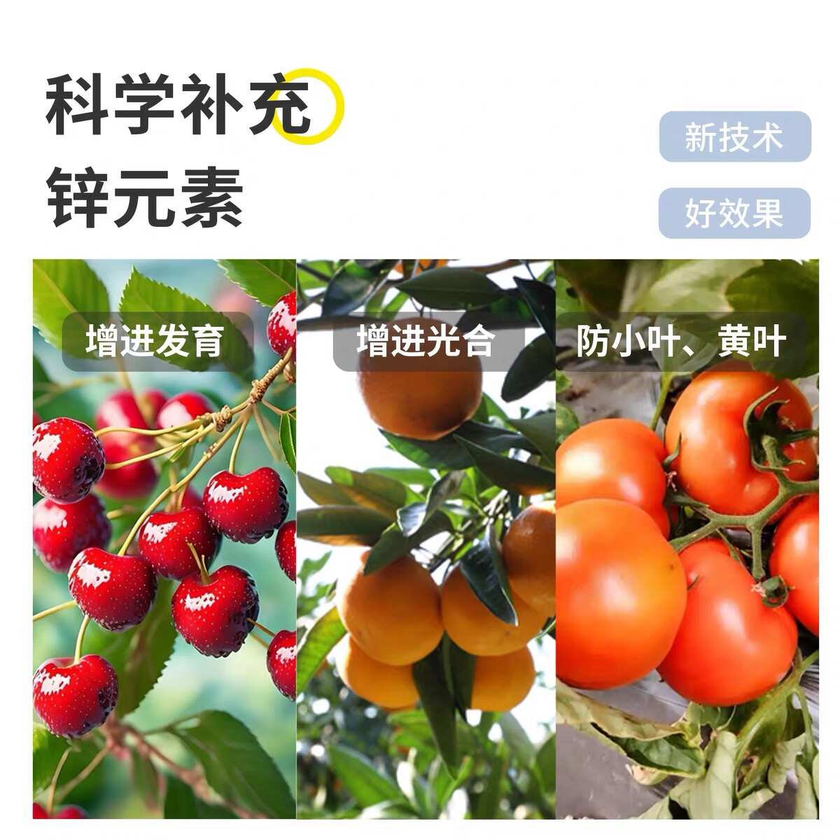 糖醇海藻锌单一微量元素水溶肥增进发育预防小叶黄叶病抗病毒锌肥