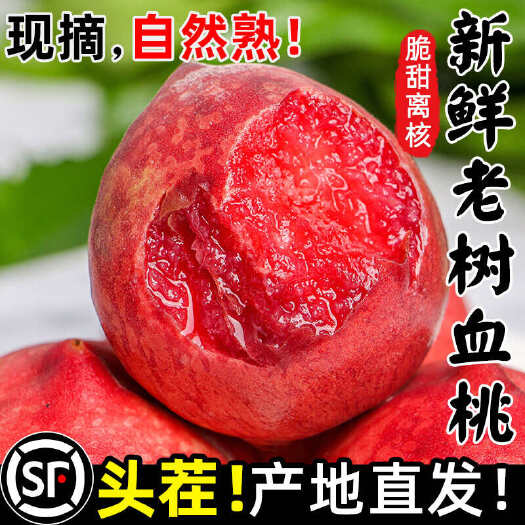 枣阳市正宗湖北老树血桃新鲜桃子5斤脆甜红肉桃当季现摘水密桃毛桃整箱