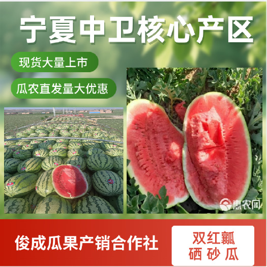 中宁县现货上市硒砂瓜宁夏中卫金花6号金城5号西瓜产地直供视频看货