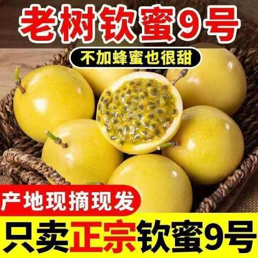 广西钦蜜九号黄金百香果香甜多汁对接市场一件代发商超电商货源稳