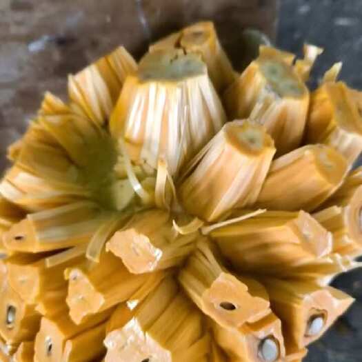 长沙泰八红肉菠萝蜜