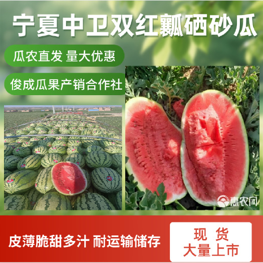 中卫现货上市宁夏硒砂瓜金花6号金城5号西瓜双红瓤产地直供视频看货