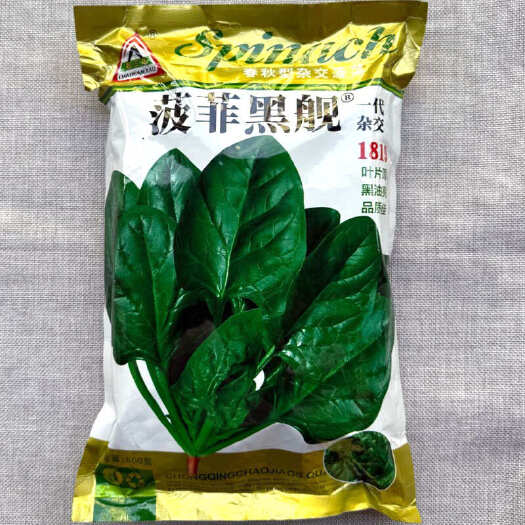 菠菲黑舰菠菜种子 春秋型杂交菠菜种子 叶片厚黑油亮