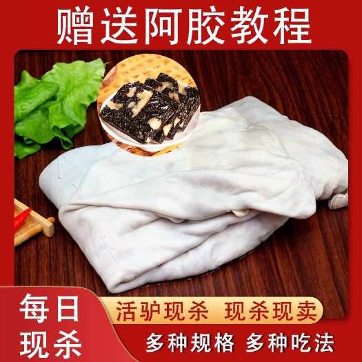 整张生驴皮阿胶原料专用散养新鲜干净驴皮烫毛黑驴皮冷链真空