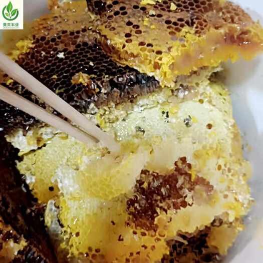 腾冲市云南腾冲野坝蒿花蜂蜜500g天然正宗精品土蜂蜜封盖瓶
