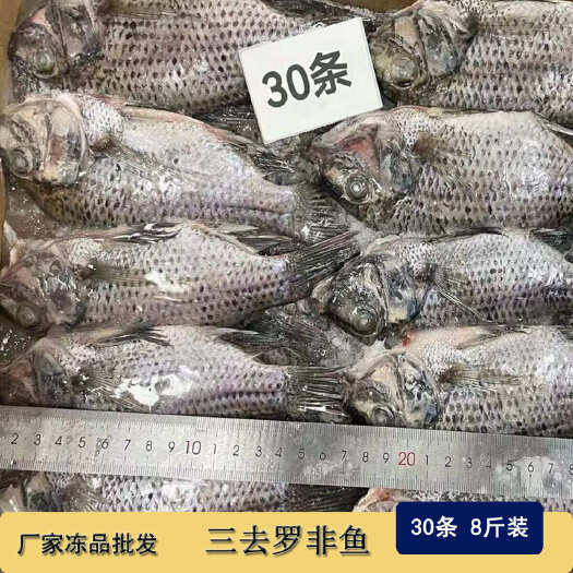三去罗非鱼新鲜冷冻 8斤30条装烤鱼红烧鱼糖醋鱼材料商用冻品
