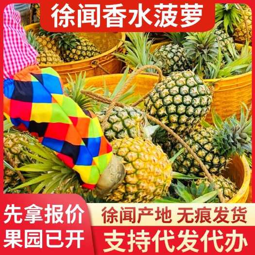 徐闻县广东徐闻香水菠萝批发代发1斤3斤5斤8斤大中小果