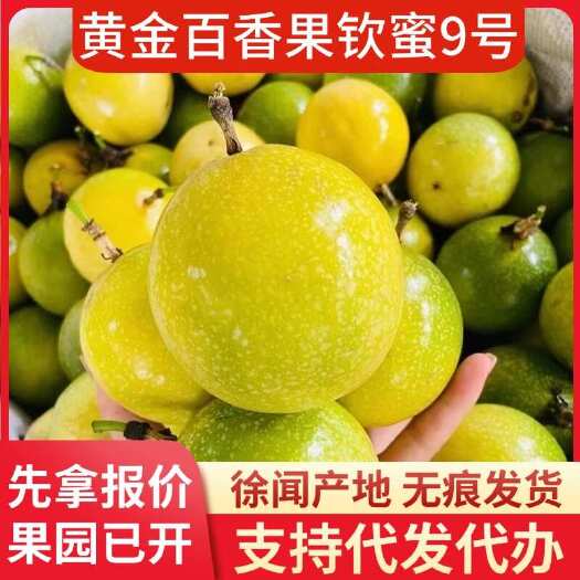 徐闻县广东钦蜜9号黄金百香果批发代发1斤3斤5斤8斤大中小果