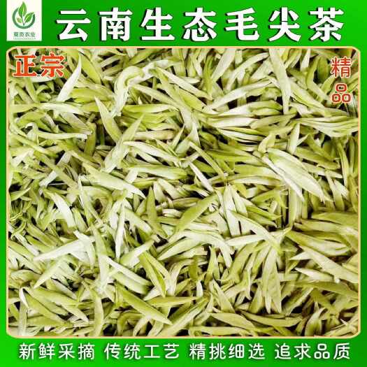 腾冲市云南腾冲精品古树毛尖绿茶精选500g新茶散装耐泡茶叶无农残零