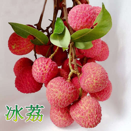 北流市冰荔荔枝（10斤净重 冷链空运）