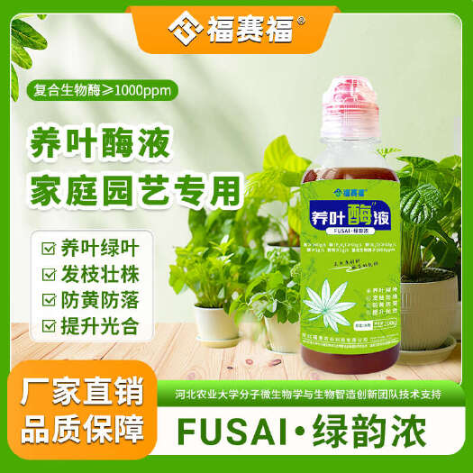 保定养叶酶液家庭园艺专用肥生物酶小分子有机肥