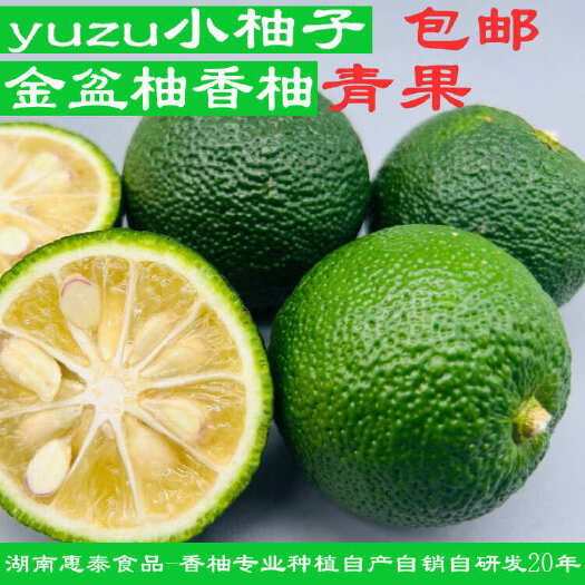 香柚Yuzu新鲜采摘4cm以上产地直发