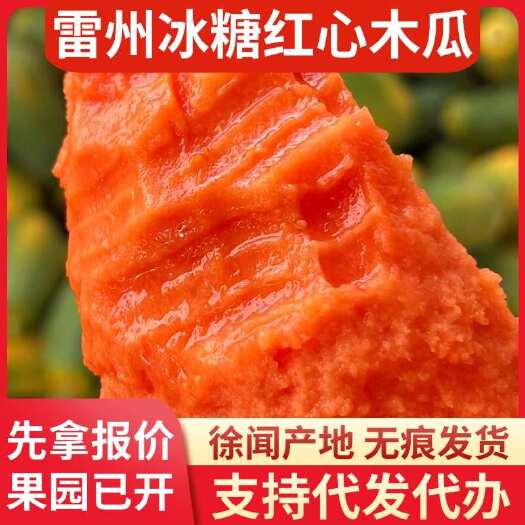 广东雷州冰糖红心木瓜批发代发1斤3斤5斤8斤大中小果