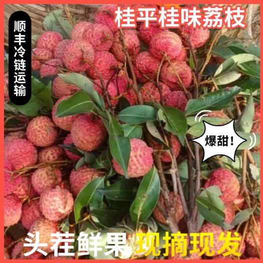 桂平市直发新鲜桂味荔枝现摘现发口感清甜果大核小