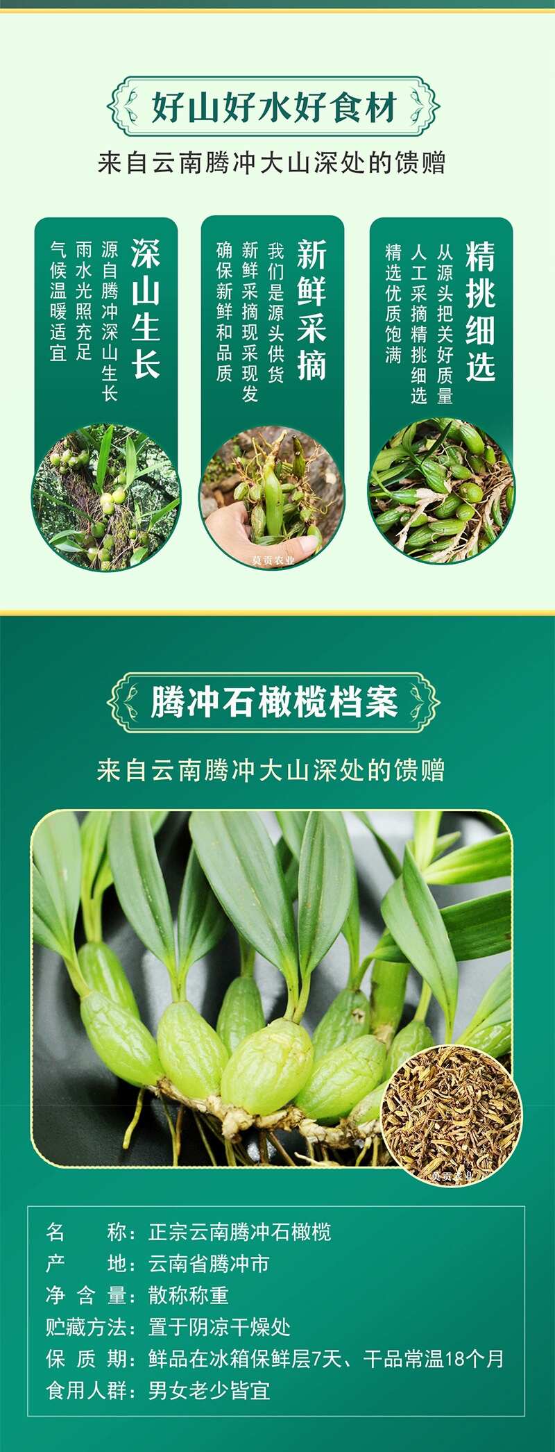 云南腾冲高黎贡山深山精品石橄榄新鲜现采精选单叶双叶果煲汤佳品