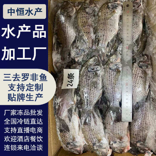 东山县三去罗非鱼 8斤24条装新鲜速冻罗非鱼 烧烤鱼红烧鱼材料批发