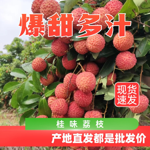 桂平市直发新鲜桂味荔枝现摘现发口感清甜核小肉厚果香浓郁