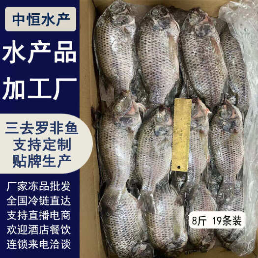 东山县三去罗非鱼 8斤19条装新鲜速冻罗非鱼 酒店烧烤餐饮商批发