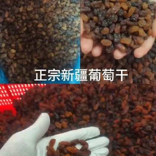 新疆吐鲁番市红葡萄干